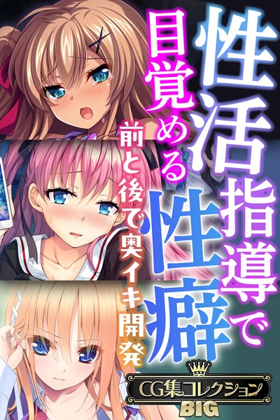 性活指導で目覚める性癖〜前と後で奥イキ開発〜【CG集コレクションBIG】【単行本×大人のSEXY絵本】評価