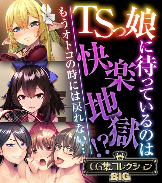 TSっ娘に待っているのは快楽地獄！？ 〜もうオトコの時には戻れない…〜【CG集コレクションBIG】【単行本×大人のSEXY絵本】評価