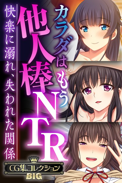 カラダはもう他人棒NTR 〜快楽に溺れ、失われた関係〜【CG集コレクションBIG】【単行本×大人のSEXY絵本】評価