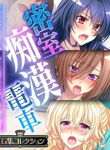 密室痴●電車 〜捜査官と犯人は相性バツグン？！〜【CG集コレクション】【単行本×大人のSEXY絵本】評価