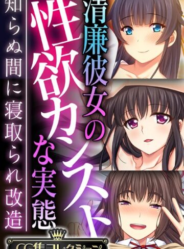 清廉彼女の性欲カンストな実態 〜知らぬ間に寝取られ改造〜【CG集コレクション】【単行本×大人のSEXY絵本】評価