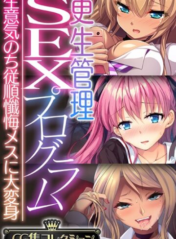 更生管理SEXプログラム 〜生意気のち従順懺悔メスに大変身〜【CG集コレクション】【単行本×大人のSEXY絵本】評価