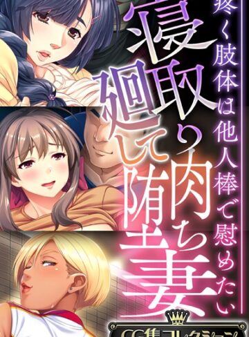 寝取り廻して肉堕ち妻 〜疼く肢体は他人棒で慰めたい〜【CG集コレクション】【単行本×大人のSEXY絵本】評価