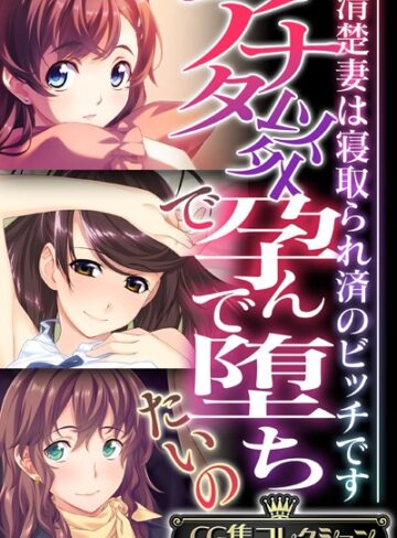 アナタ以外で孕んで堕ちたいの 〜清楚妻は寝取られ済のビッチです〜【CG集コレクション】【単行本×大人のSEXY絵本】評価