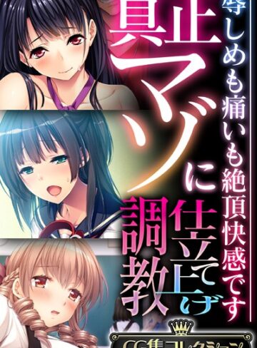 真正マゾに仕立て上げ調教 〜辱しめも痛いも絶頂快感です〜【CG集コレクション】【単行本×大人のSEXY絵本】評価