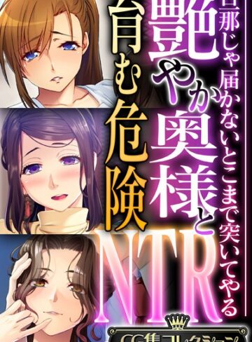艶やか奥様と育む危険NTR 〜旦那じゃ届かないとこまで突いてやる〜【CG集コレクション】【単行本×大人のSEXY絵本】評価