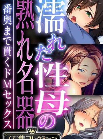 濡れた性母の熟れ名器 〜一番奥まで貫くドMセックス〜【CG集コレクション】【単行本×大人のSEXY絵本】評価