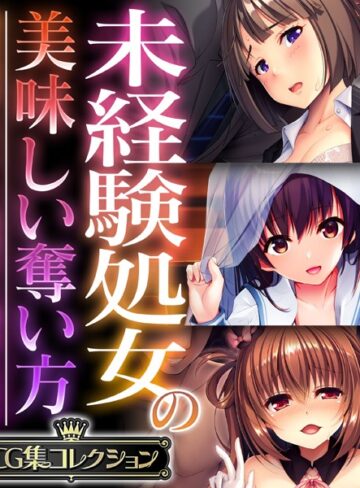 未経験処女の美味しい奪い方 〜溺愛純愛もいいし、無理やり調教も良き〜【CG集コレクション】【単行本×大人のSEXY絵本】評価