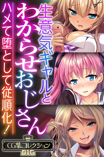 生意気ギャルとわからせおじさん 〜ハメて堕として従順化！〜【CG集コレクションBIG】【単行本×大人のSEXY絵本】評価
