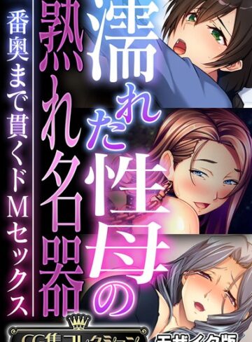 濡れた性母の熟れ名器 〜一番奥まで貫くドMセックス〜【CG集コレクション】 モザイク版【フルカラー×大人のSEXY絵本】評価