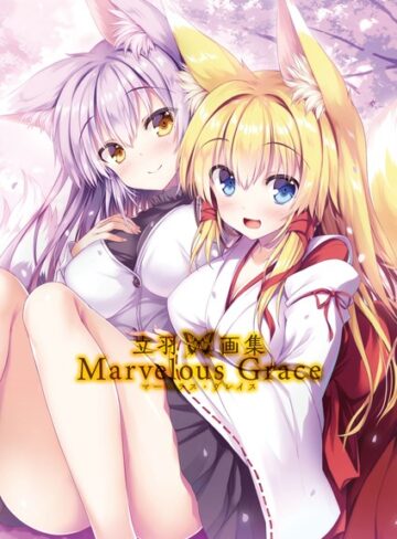 立羽画集 Marvelous Grace【単行本×立羽】評価