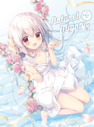 Naturel Mignon -宮坂なこ画集-【イラスト・CG集×宮坂なこ】評価