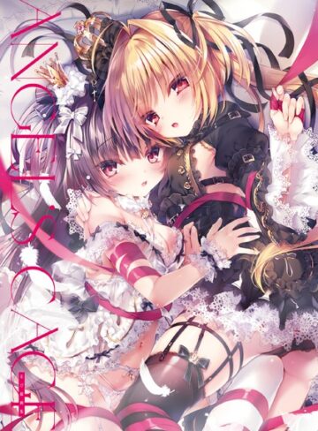 Angel’s cage るび様画集【単行本×るび様】評価