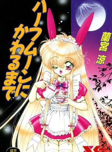 ハーフムーンにかわるまで【ファンタジー×蘭宮涼】評価