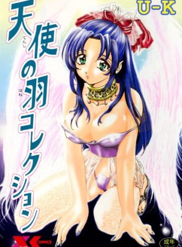 天使の羽コレクション【学園もの×U-K】評価