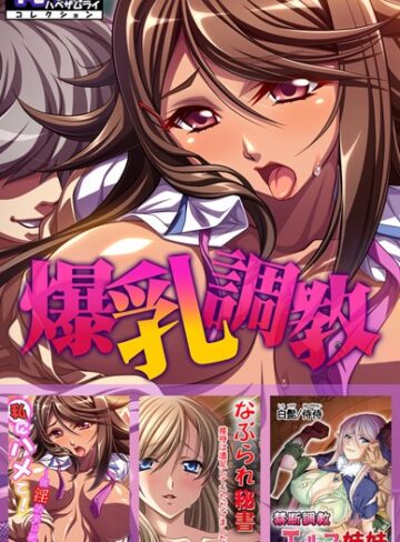 爆乳調教【侍侍コレクション】【単行本×侍侍】評価