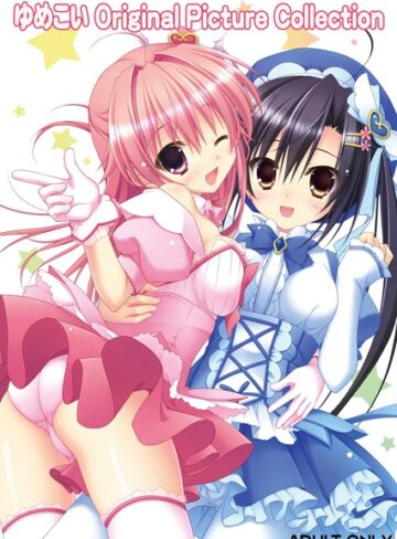 ゆめこい〜夢見る魔法少女と恋の呪文〜 Original Picture Collection【単行本×Parasol】評価
