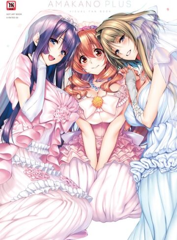 アマカノ＋ ビジュアルファンブック【単行本×ピロ水】評価5.00