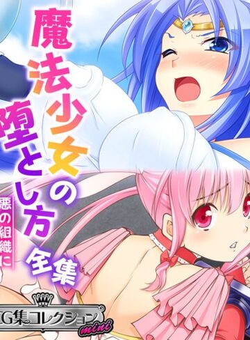 魔法少女の堕とし方全集 〜悪の組織に転身セックス〜 【CG集コレクション ミニ】【単行本×大人のSEXY絵本】評価