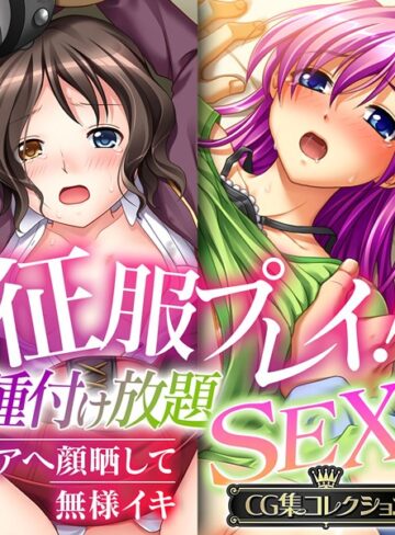 征服プレイ！種付け放題SEX 〜アヘ顔晒して無様イキ〜【CG集コレクション】【単行本×大人のSEXY絵本】評価