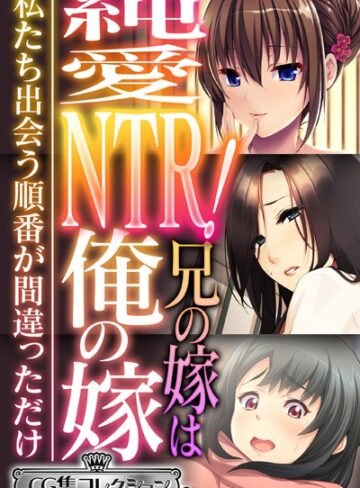 純愛NTR！兄の嫁は俺の嫁 〜私たち出会う順番が間違っただけ〜【CG集コレクション ミニ】【単行本×大人のSEXY絵本】評価