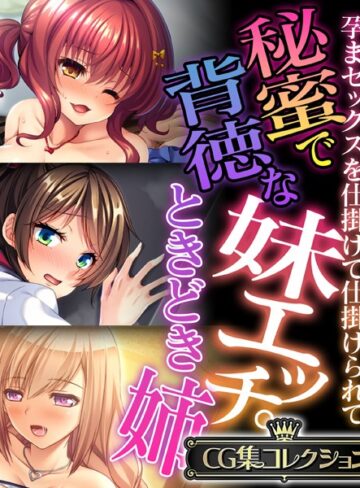 秘蜜で背徳な妹エッチ。ときどき姉 〜孕まセックスを仕掛けて仕掛けられて〜【CG集コレクション】【単行本×大人のSEXY絵本】評価