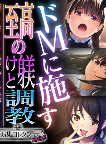 ドMに施す至高の躾けと調教 〜痛くて苦しくて恥ずかしいのがイイ！！〜【CG集コレクション ミニ】【単行本×大人のSEXY絵本】評価