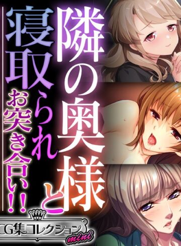 隣の奥様と寝取られお突き合い！！ 〜惰性な毎日に刺激を注ぐケモノ交尾〜【CG集コレクション ミニ】【単行本×大人のSEXY絵本】評価