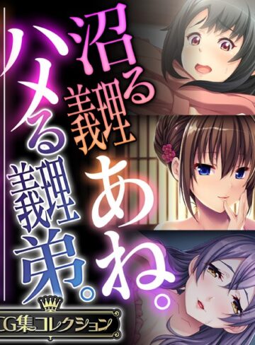 沼る義理あね。ハメる義理弟。 〜一線を超えて…SEXで深める男女のナカ〜【CG集コレクション】【単行本×大人のSEXY絵本】評価