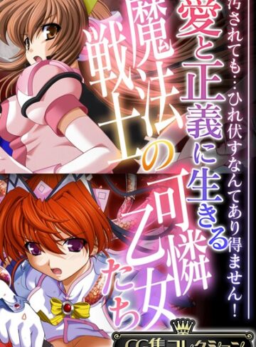 愛と正義に生きる魔法戦士の可憐乙女たち 〜汚されても…ひれ伏すなんてあり得ません！〜【CG集コレクション】【単行本×大人のSEXY絵本】評価